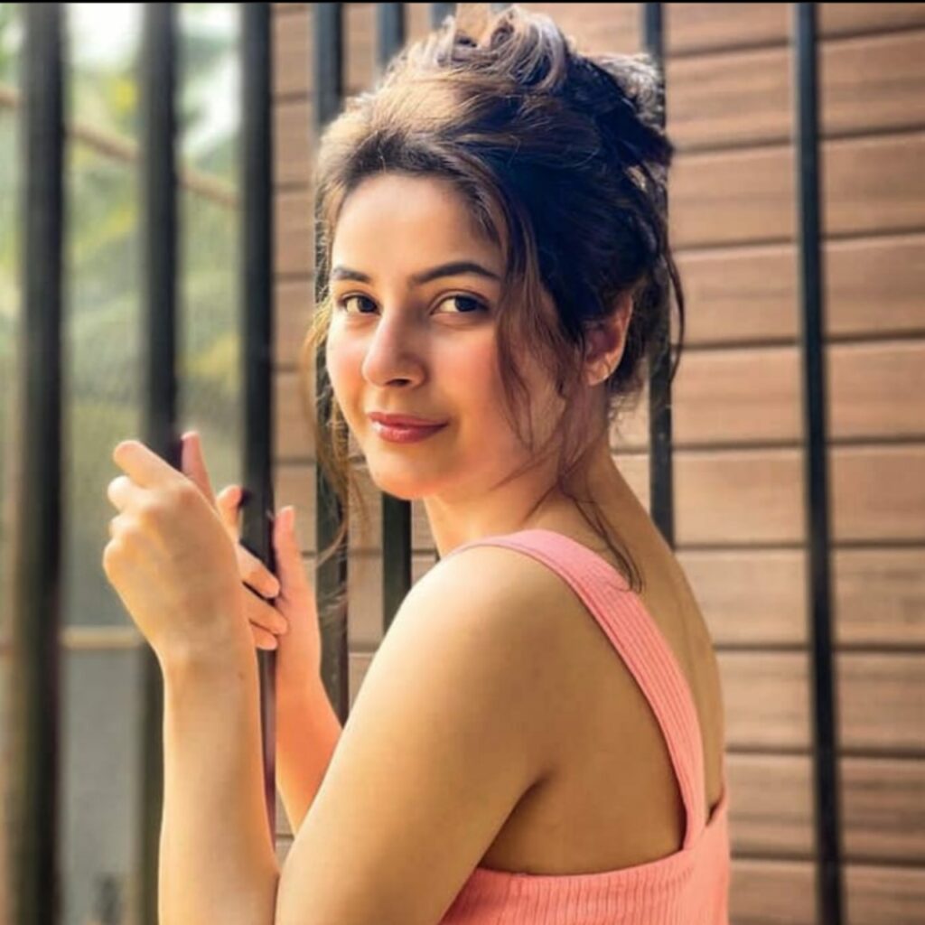 Shehnaaz Kaur Gill (Suporting Cast)